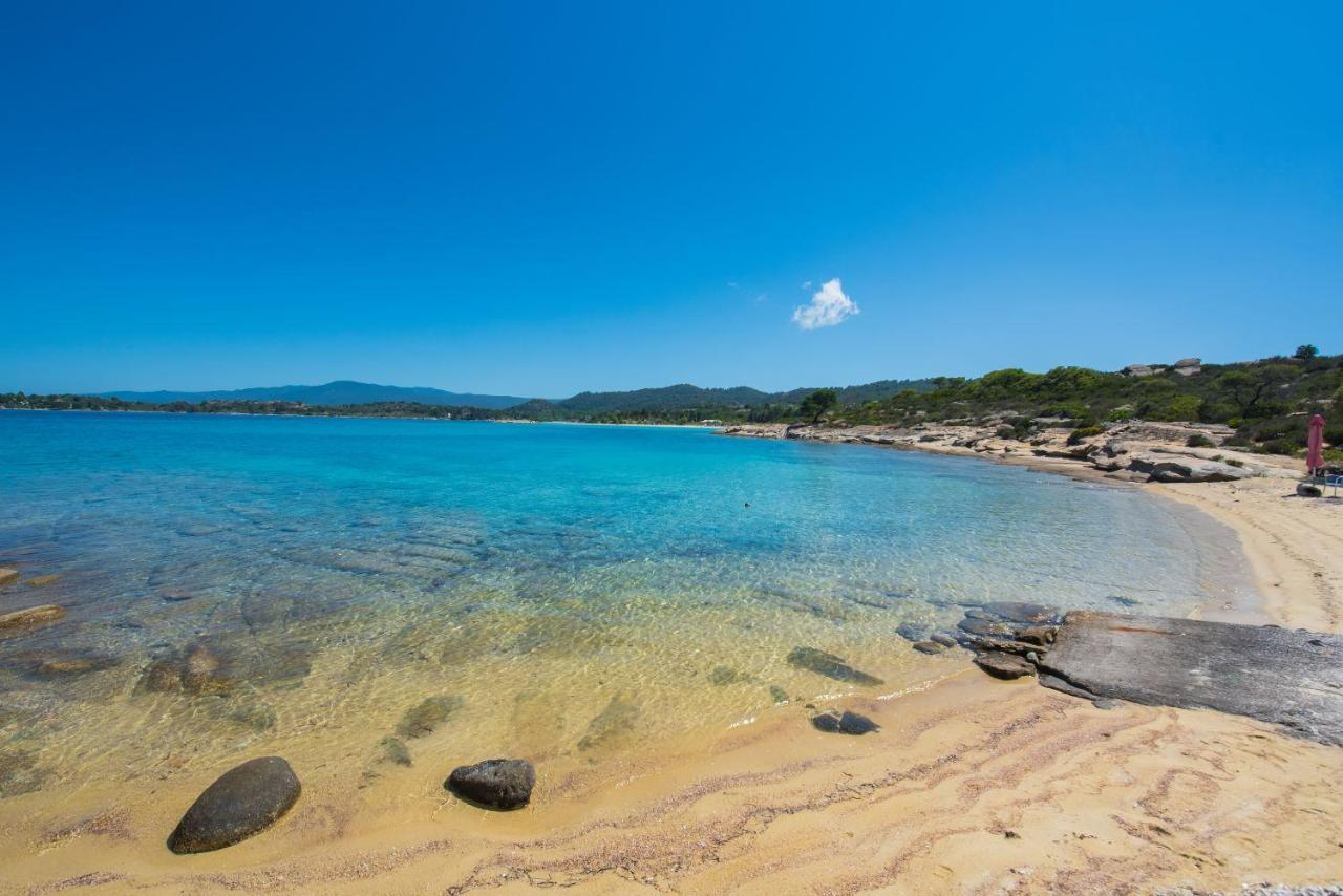 Nereus & Oceanus Beachfront Apartments, Lagonisi Beach #Feelslikehome Ормос-Панайяс Экстерьер фото